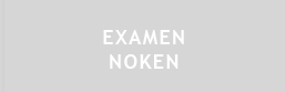 ir al examen noken